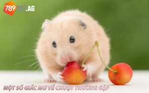 Một Số Giấc Mơ Về Chuột Thường Gặp